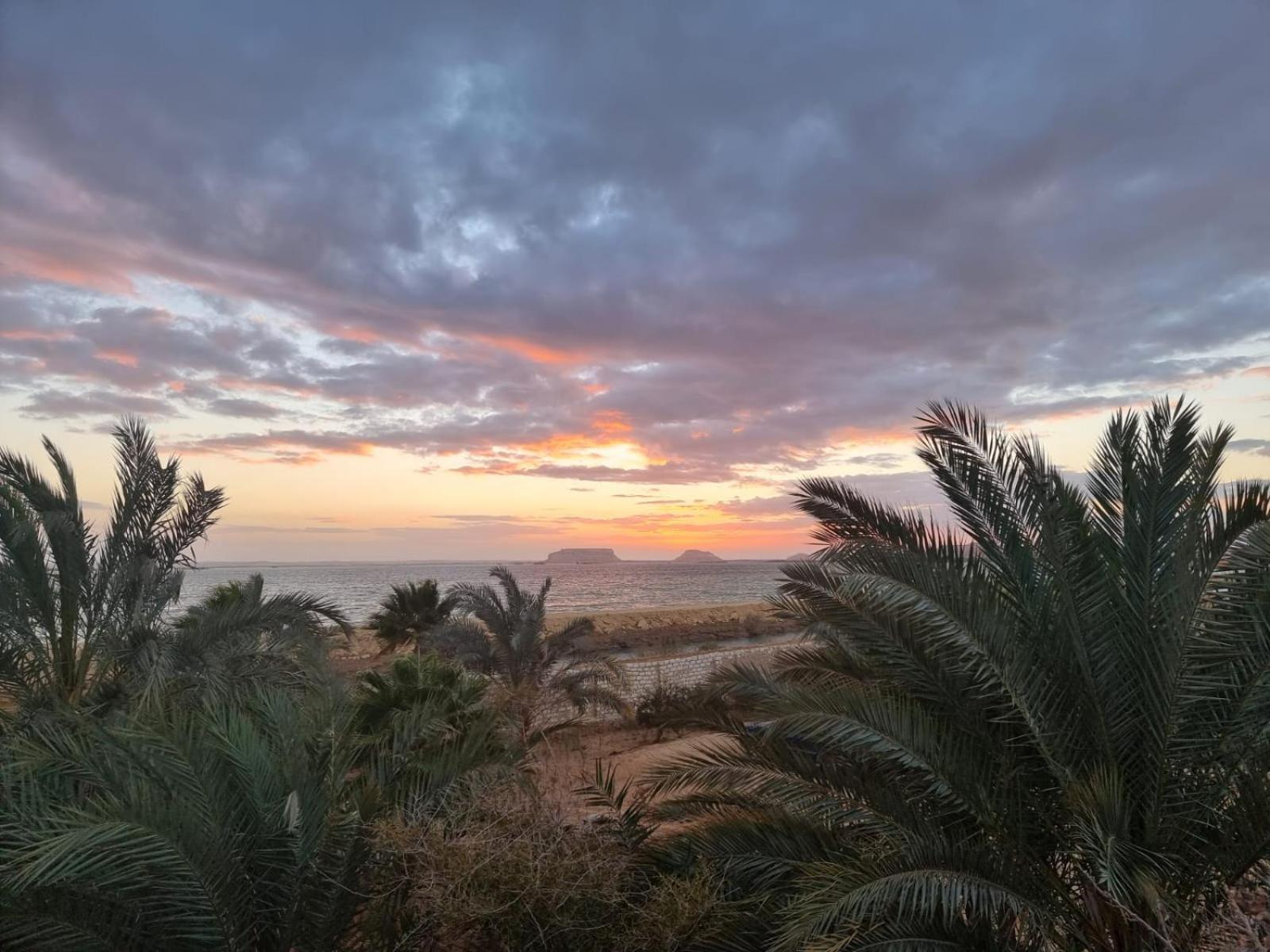 The Nest Hotel Siwa Oasis Luaran gambar