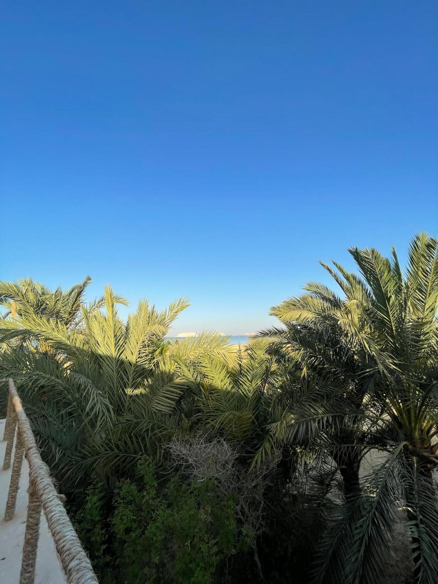 The Nest Hotel Siwa Oasis Luaran gambar