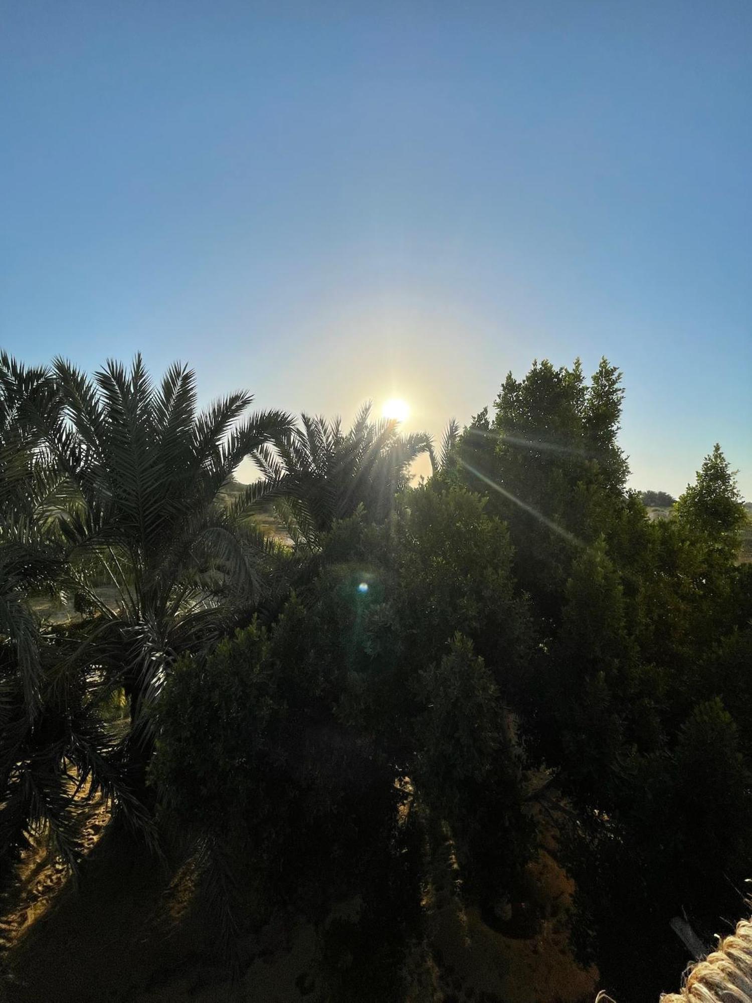 The Nest Hotel Siwa Oasis Luaran gambar