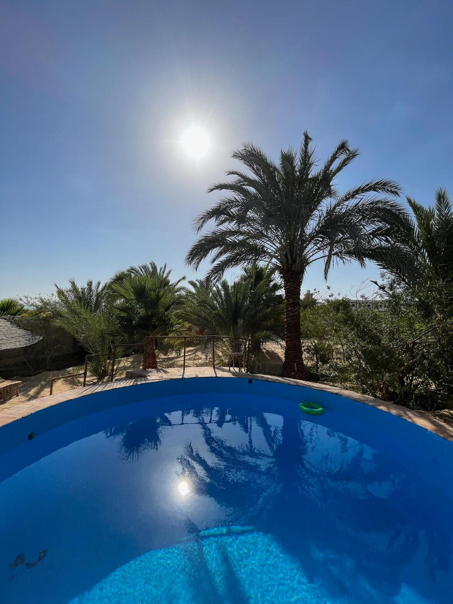 The Nest Hotel Siwa Oasis Luaran gambar