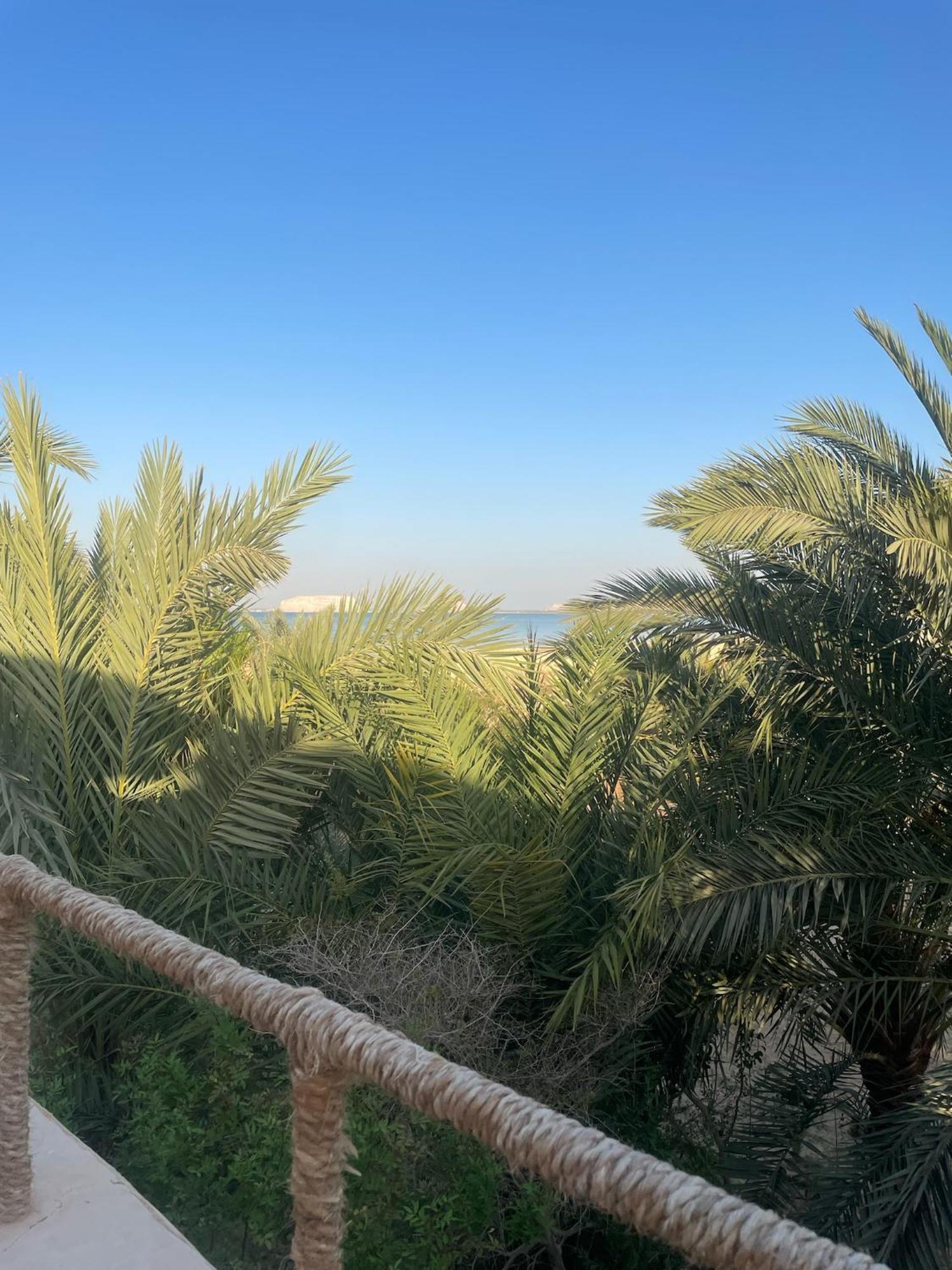 The Nest Hotel Siwa Oasis Luaran gambar