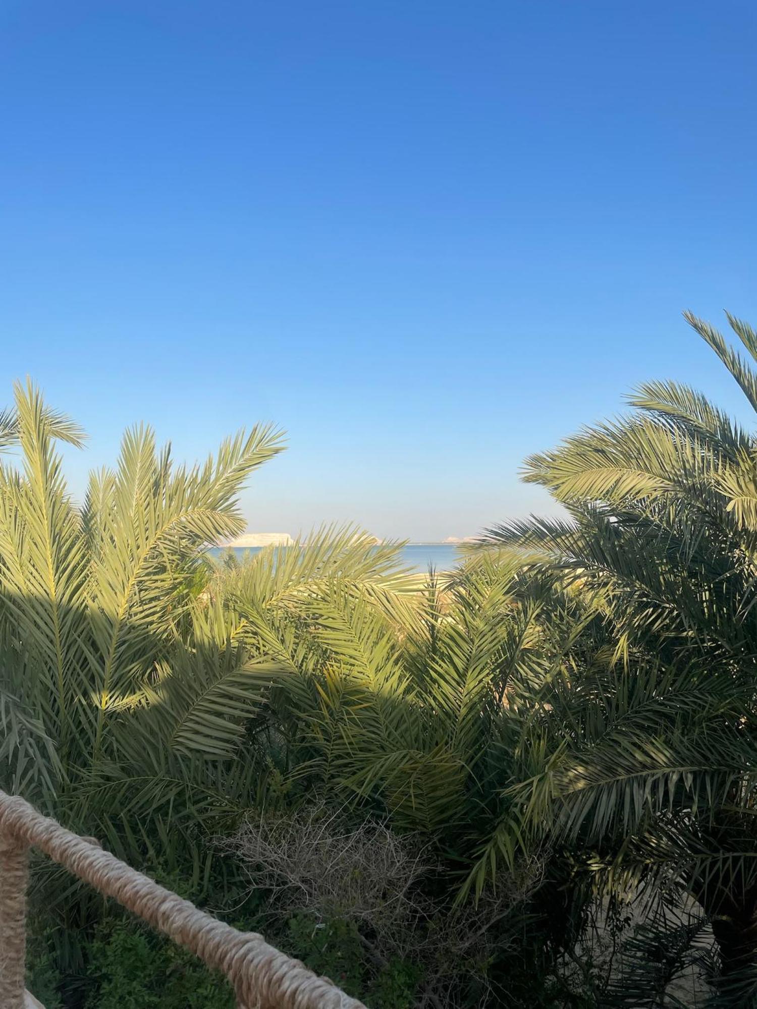 The Nest Hotel Siwa Oasis Luaran gambar